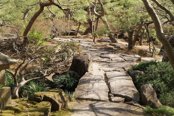 Wooden bridge